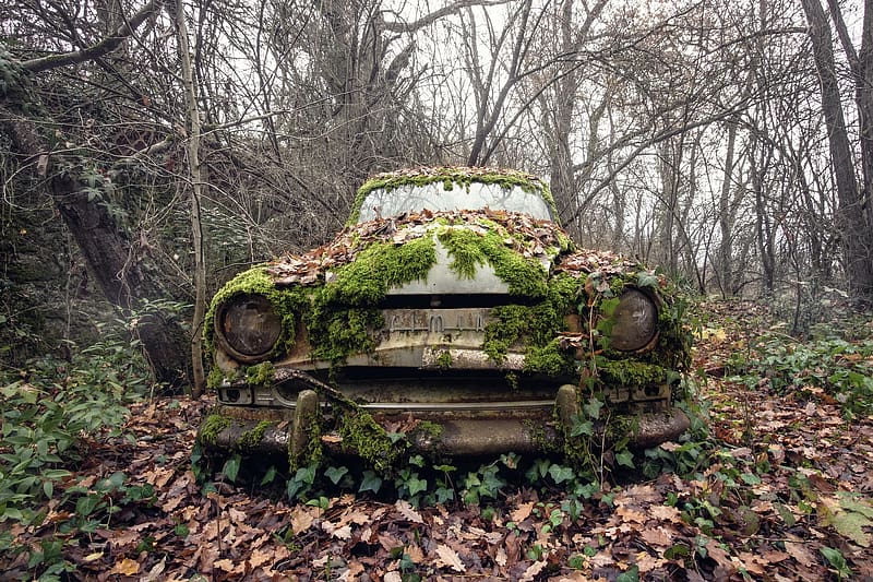 Car, Moss, Abandoned, Wreck, Vehicles, HD wallpaper