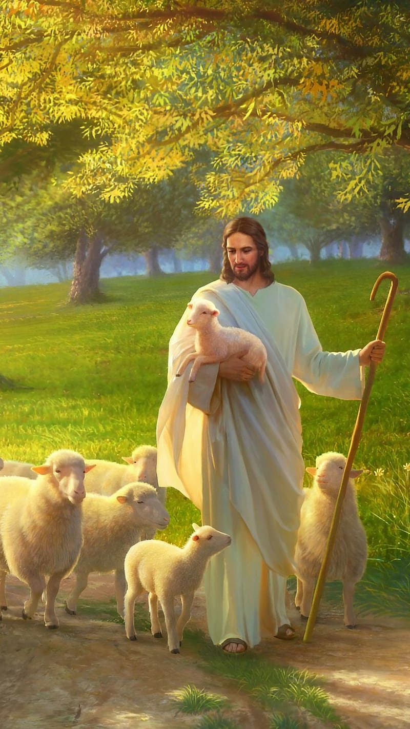 Yeshu Masih, Jesus Walking With The Sheeps, lord, god, jesus christ, HD phone wallpaper