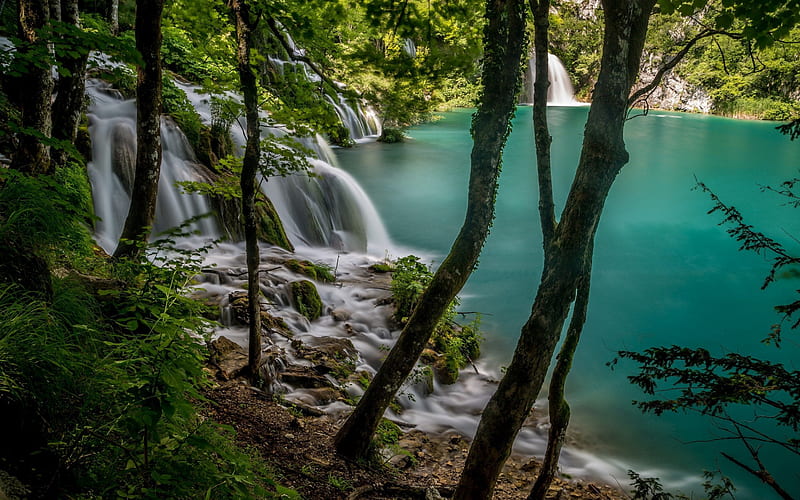 mountain lake, glacial lake, forest, waterfalls, lake, beautiful landscape, Croatia, Pletvice Lakes, HD wallpaper