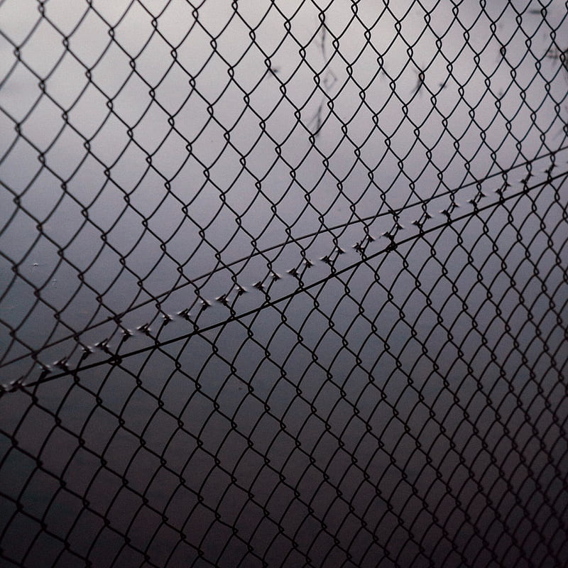 mesh, fence, fog, bw, HD phone wallpaper