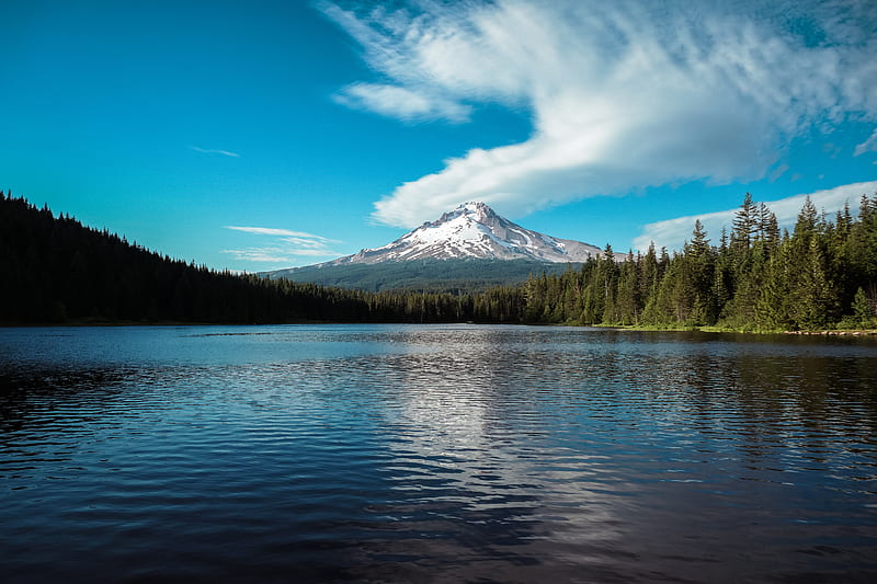 Green trees near lake under blue sky during daytime, HD wallpaper | Peakpx