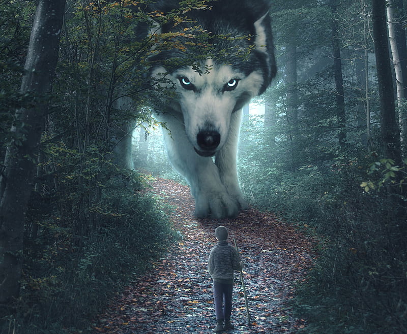 Where the beast prowl, forest, luminos, caine, creative, animal, boy, fantasy, copil, anttoni s, lup, wolf, child, husky, dog, HD wallpaper