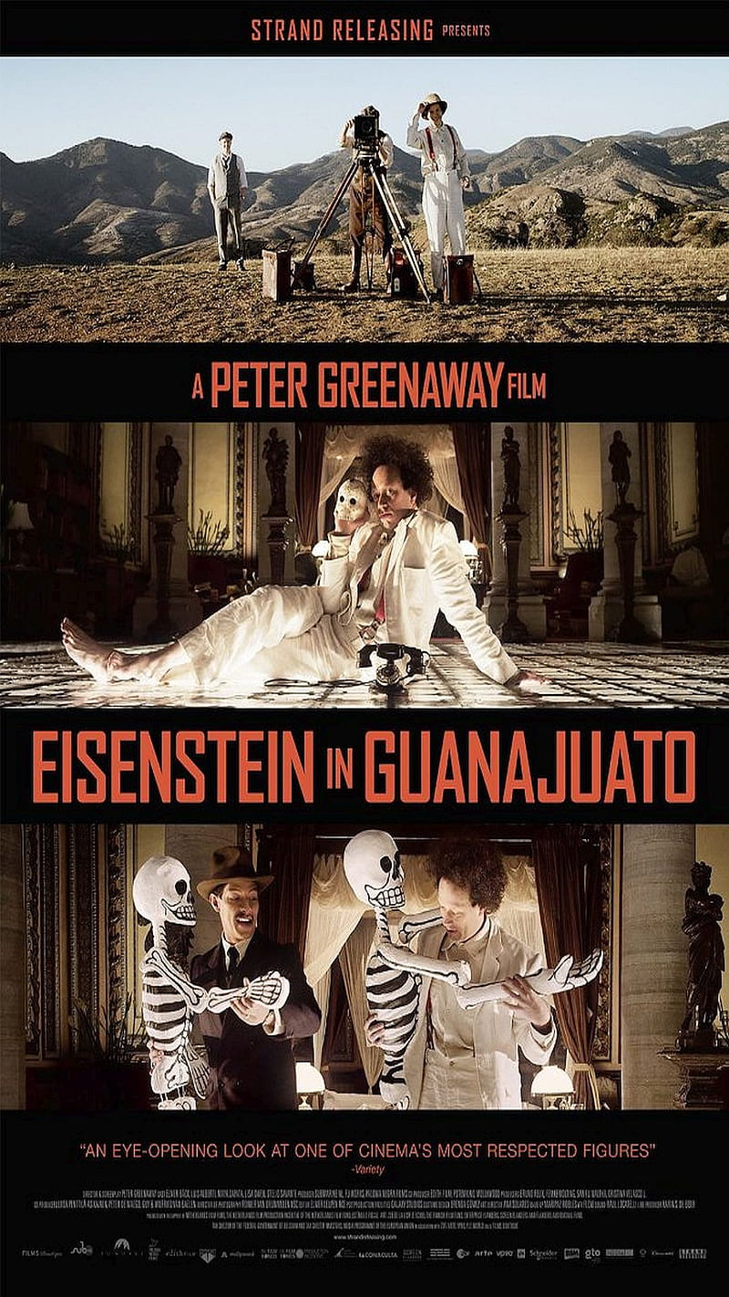 Eisenstein, 2015, in guanajuato, movie, poster, HD phone wallpaper