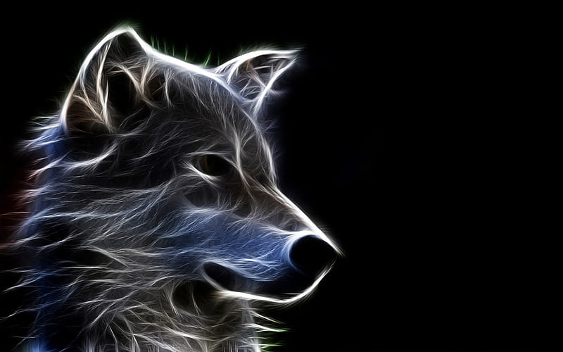 Wolf Abstact Art, furry, art, black white, abstract art, bonito, abstract, canine, wild, nature, wolf, wolf abstract art, dog, HD wallpaper