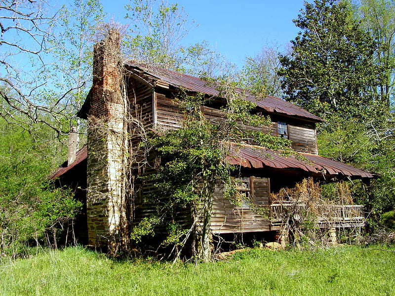 This old house once knew my children, aged, grass, home, empty, vines, trees, HD wallpaper