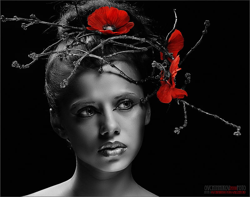 DUOTONE, art, poppies, abstract, woman, hair, graphy, bw, beauty, face,  portrait, HD wallpaper | Peakpx