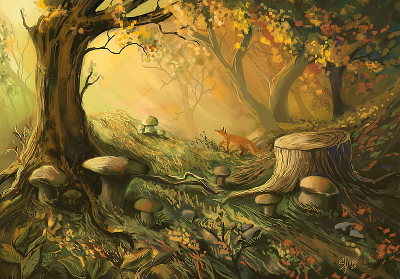 fox, forest, trees, mushrooms, art, HD wallpaper