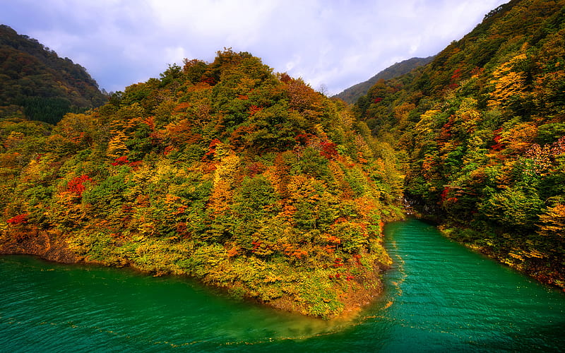Tazawako Lake Tazawa, autumn, forest, Asia, japan, HD wallpaper