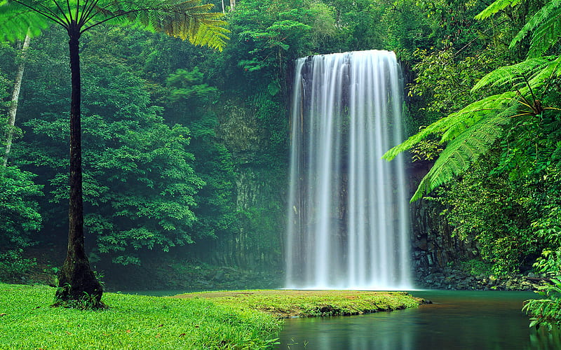 Millaa Falls, summer, beautiful nature, waterfalls, Australia, wild nature, HD wallpaper