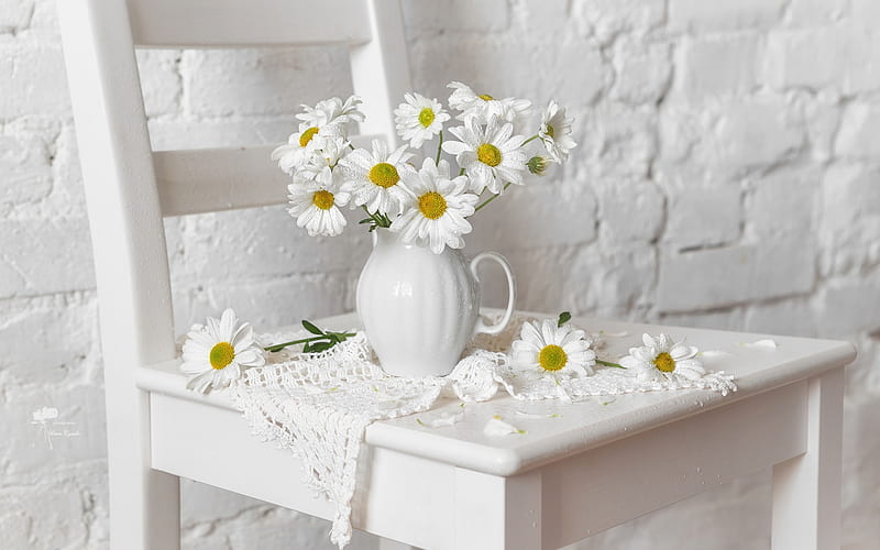 lovely white, napkin, wal, flowers, pitcher, chamomile, chair, white, HD wallpaper