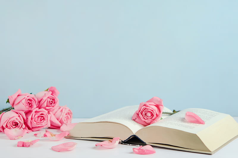 ❤️, Roses, Romantic, Petals, Book, HD wallpaper | Peakpx