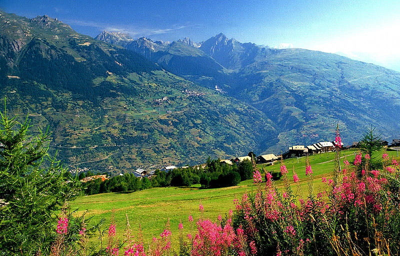 Mountain village, pretty, cottages, grass, bonito, valley, countryside, mountain, nice, village, flowers, beauty, hills, quiet, calmness, lovely, view, greenery, sky, freshness, serenity, slope, peaceful, summer, nature, HD wallpaper