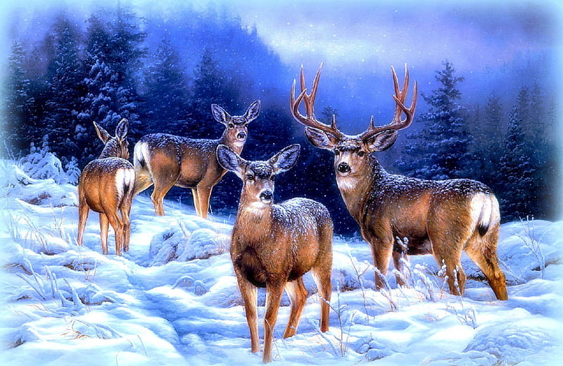 ★Reindeer Forest in Winter★, family, holidays, xmas and new year, paintings, landscapes, deers, reindeers, blue, christmas, colors, love four seasons, creative pre-made, trees, winter, cool, snow, nature, HD wallpaper