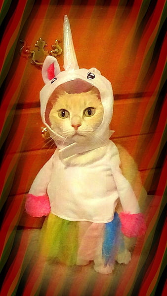 Scaredy cat cosplays