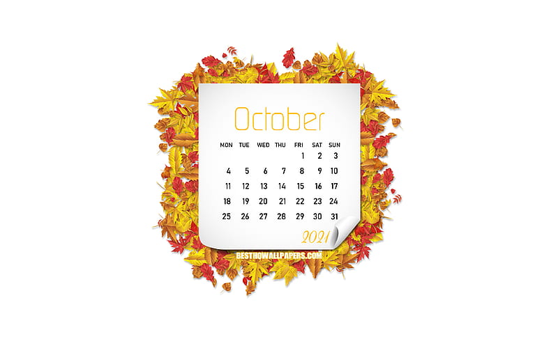 October 2021 Calendar, , autumn leaves, white background, October, autumn frame, 2021 October Calendar, creative art, HD wallpaper