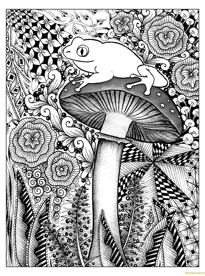 The frog mushroom, drawing, psicodelia, HD phone wallpaper