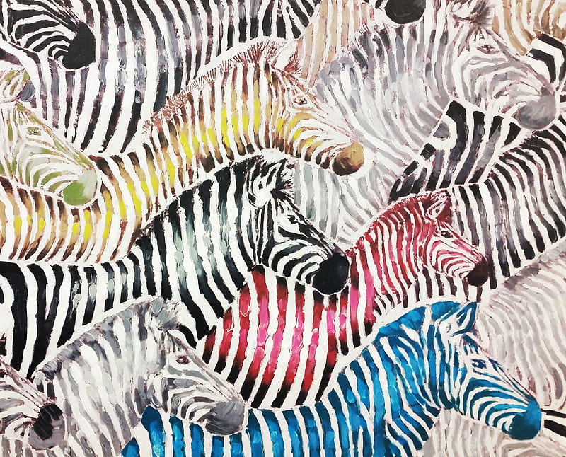 Zebra Print, animal, color, jungle, stripes, HD wallpaper