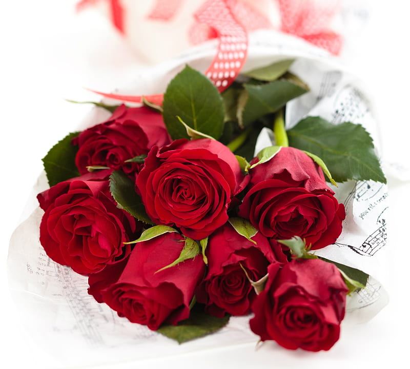 Page 74, HD ~red roses~ wallpapers