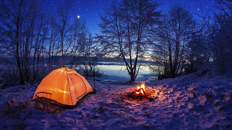 Winter camping, stars, romantic, camping, dusk, bonito, twilight, trees, sky, lake, winter, fire, nature, evening, frost, HD wallpaper