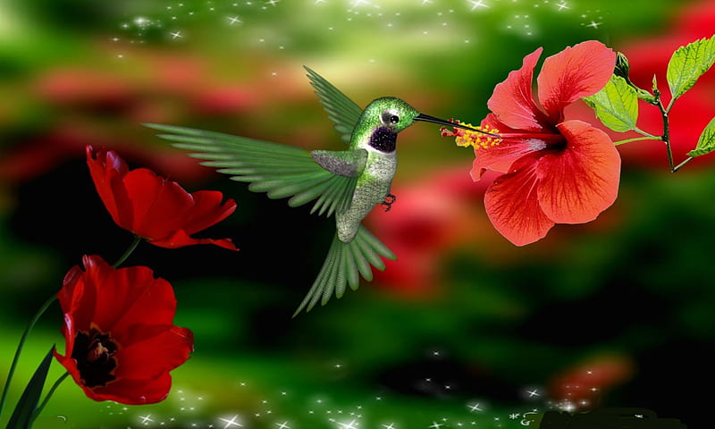 humming bird, humming, red, flowers, bird, HD wallpaper