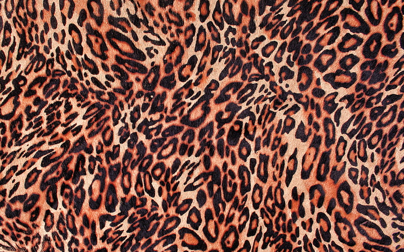 leopard texture, close-up, leopard skin texture, brown blots texture, macro, leopard skin, leopard background, leopard wool, leopard leather background, HD wallpaper