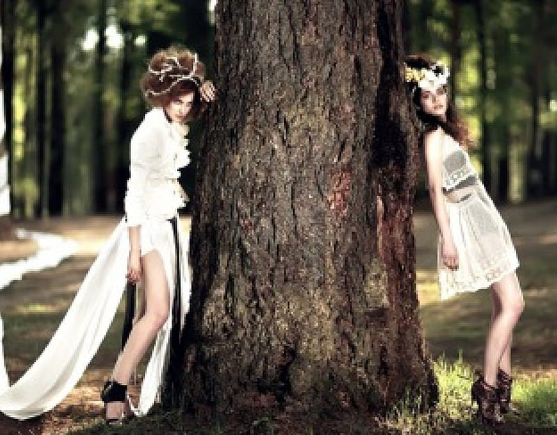 * Forest fairies *, forest, models, nature, bonito, girls, trees, fashion, fairy, HD wallpaper