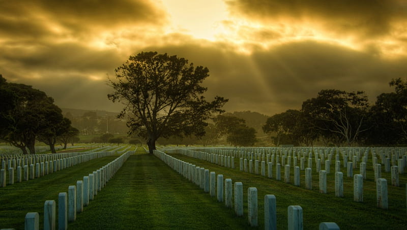 heavenly sun rays over a military cemetery, cemetery, grass, military, sun rays, trees, clouds, HD wallpaper