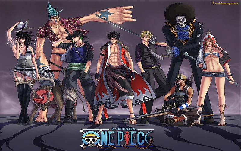 One Piece, nami, franky, brook, warriors, tony ton chopper, zoro, sanji, anime, luffy, usopp, straw hat pirates, team, monkey d, HD wallpaper