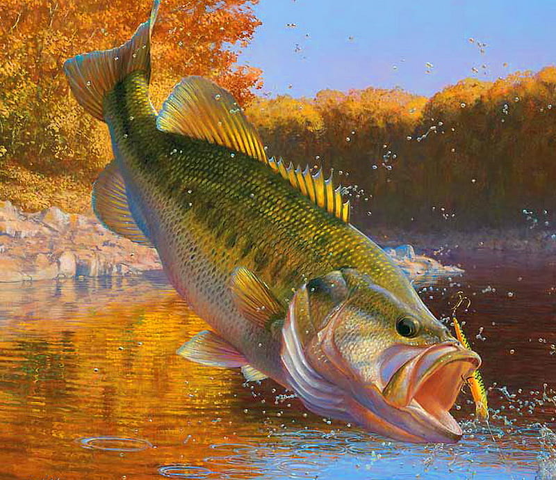 Big mouth, autumn, fish, big mouth bass, river, trees, fishing, HD wallpaper