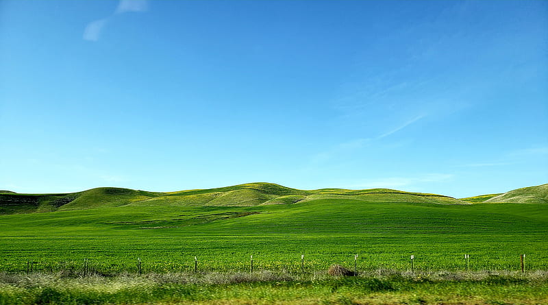 Green Hillside, blue, clouds, grass, green, hills, hillside, mountain, sky, windows, HD wallpaper