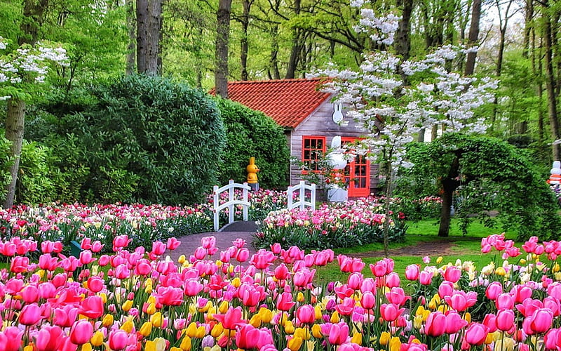Keukenhof Gardens in Spring, cabin, tulips, netherlands, bridge, blossoms, trees, HD wallpaper