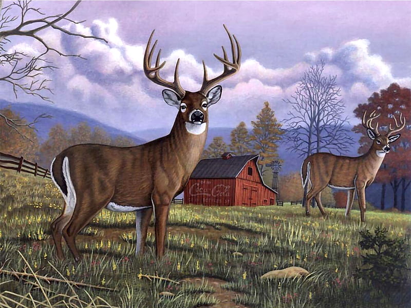 Unaware Deer F, art, buck, bonito, illustration, artwork, deer, animal, painting, wide screen, wildlife, nature, HD wallpaper