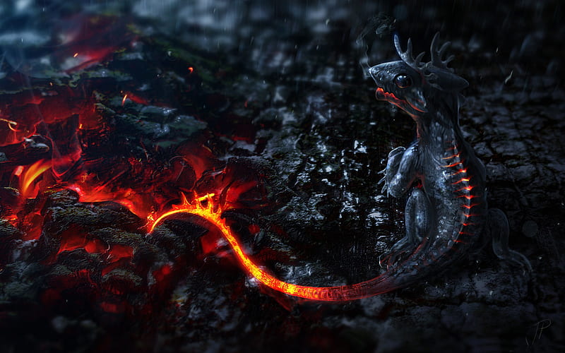 salamander artwork-Design, HD wallpaper