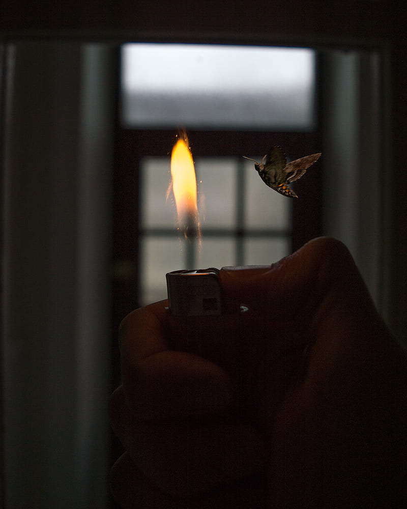 Moth to a flame, awesome, candle, cool, fire, lighter, quote, HD phone wallpaper