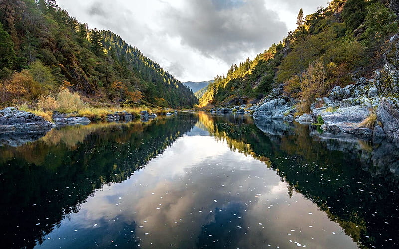 Looking downstream on the Rogue River, Oregon, trees, usa, reflections, water, clouds, sky, HD wallpaper