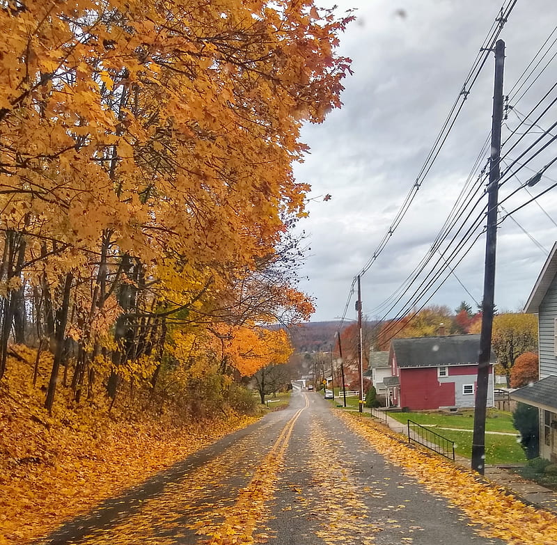 Fall Pennsylvania, fall fall trees, road, HD wallpaper