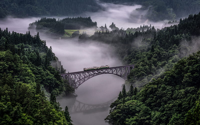 japan, forest, river, bridge, fog, train, Asia, HD wallpaper