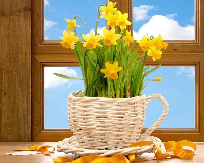 Yellow flowers, leaves, basket, flowers, petals, windos, HD wallpaper