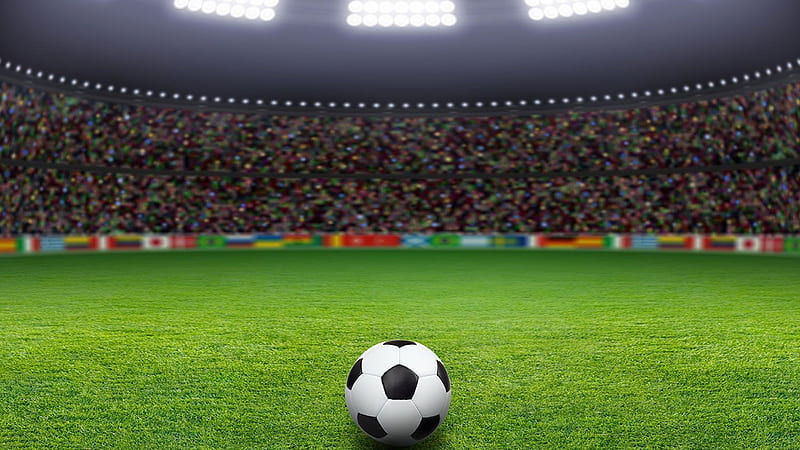 White Black Ball On Green Grass In Audience Background Football, HD wallpaper