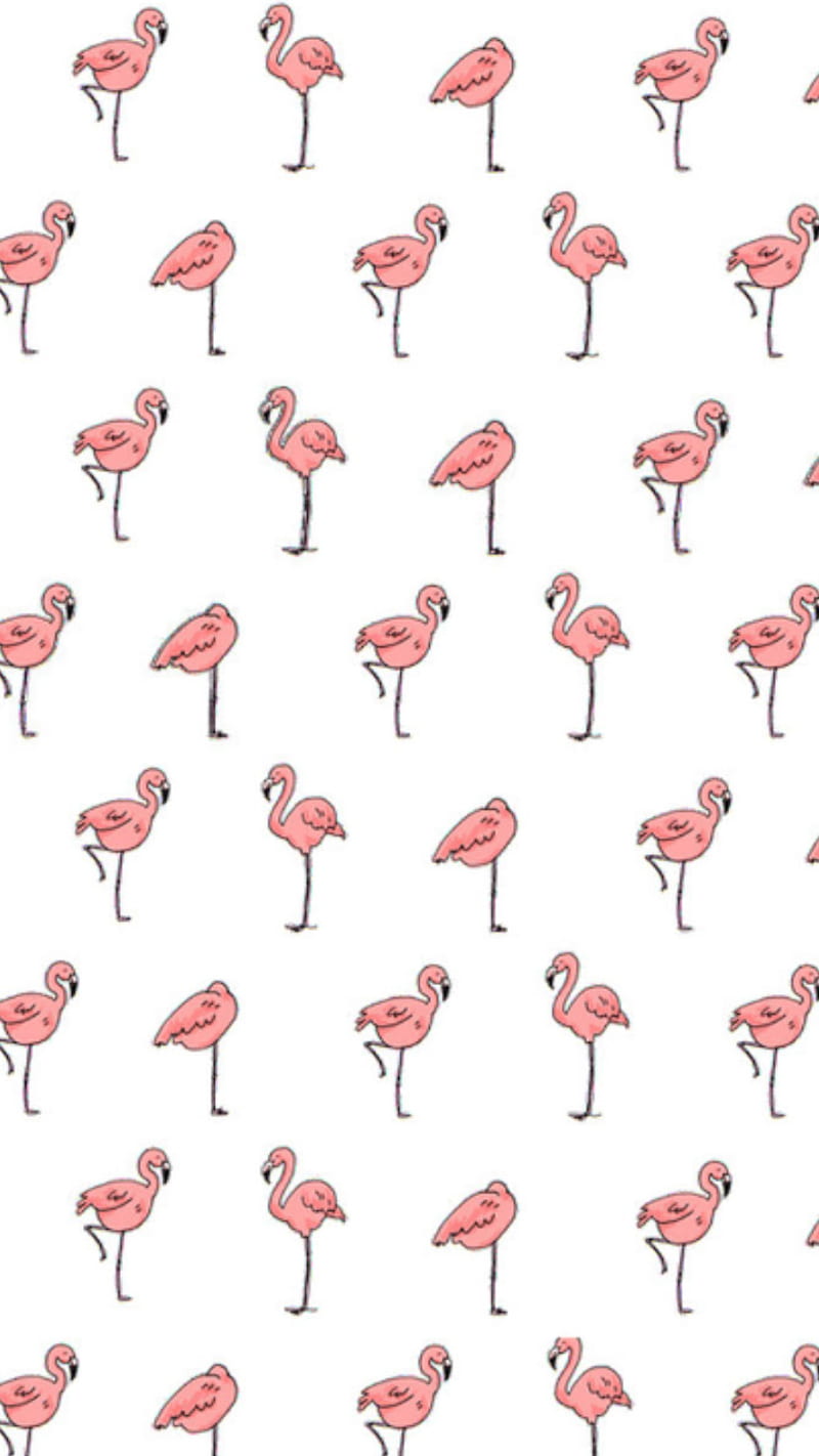 Flamingo Birds Pink Hd Mobile Wallpaper Peakpx