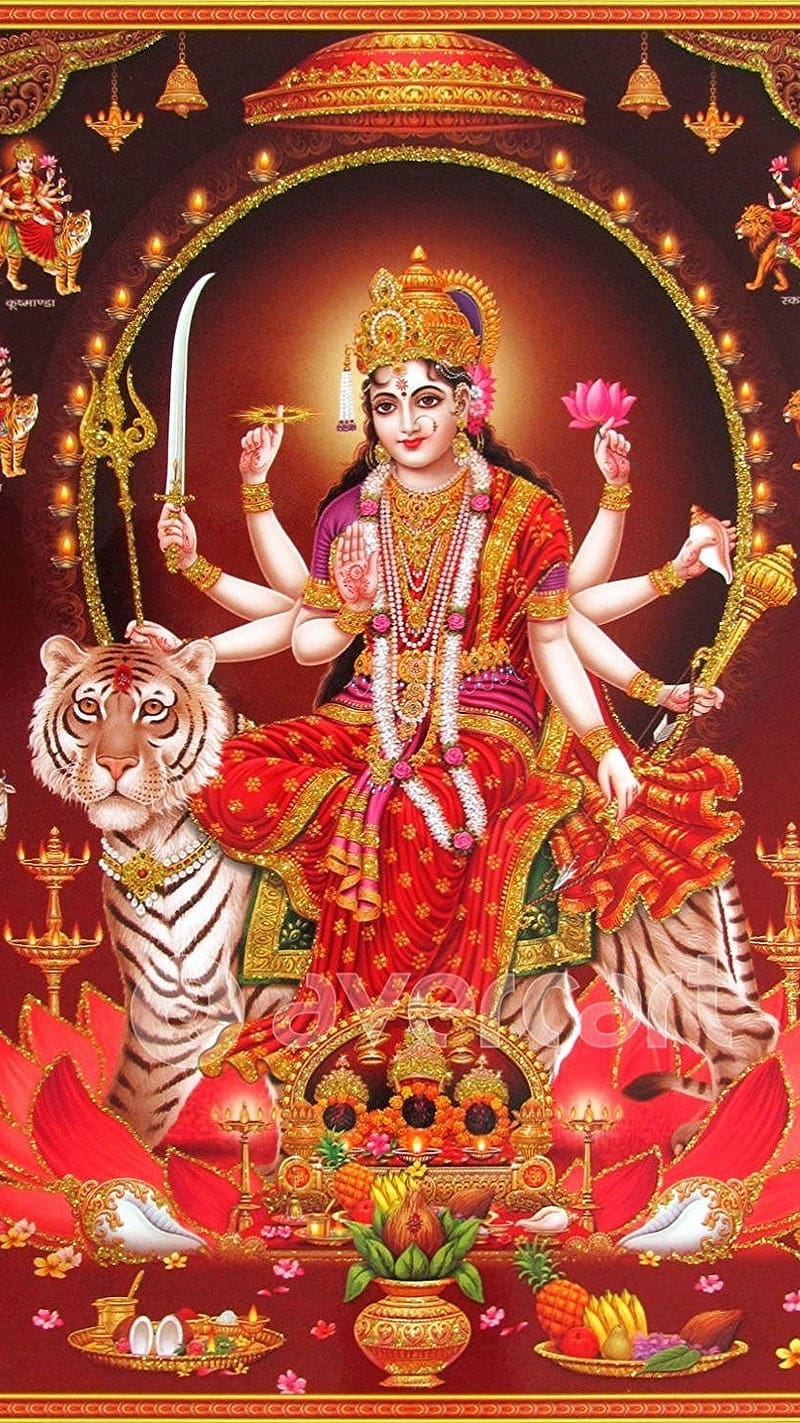 Durga Devi Navroop, durga devi, navroop, mata rani, goddess, HD phone  wallpaper | Peakpx