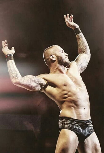 Randy Orton, 14x world champion, apex predator, legend killer, viper, wwe,  HD phone wallpaper | Peakpx