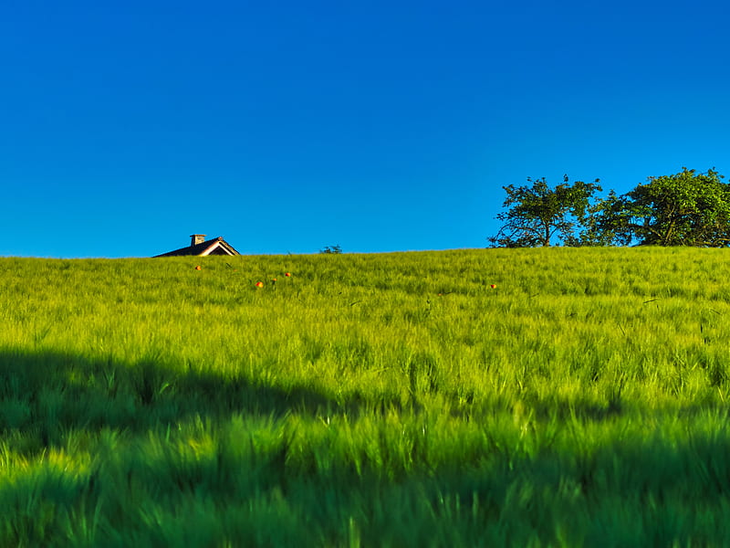field, house, nature, summer, HD wallpaper field, house, nature, summer, HD wallpaper