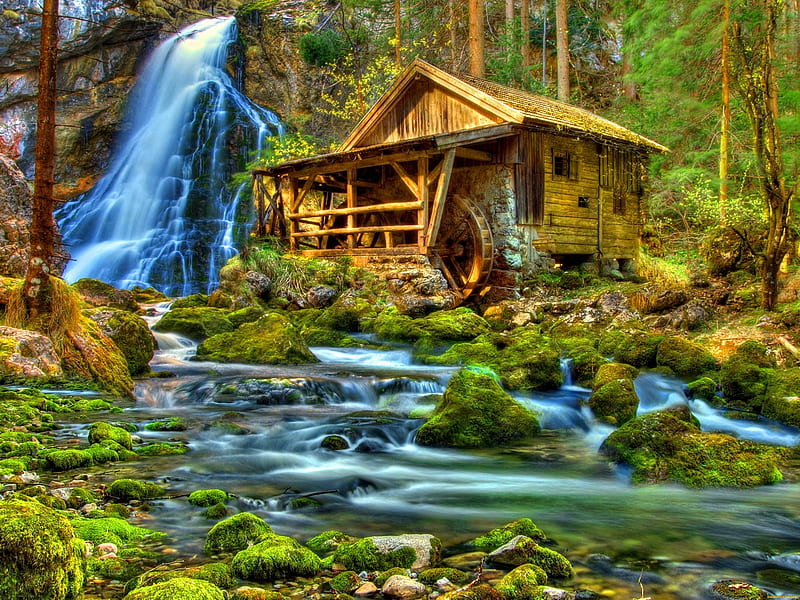 Forest Mill, mill, graph, forest, water, waterfall, r, river, HD wallpaper