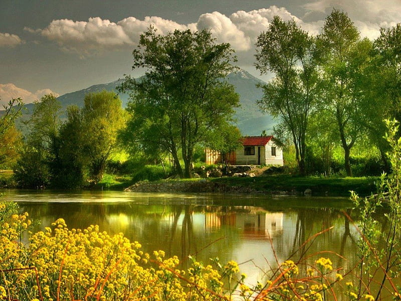 House by the river, forest, house, water, rock, river, trees, HD wallpaper