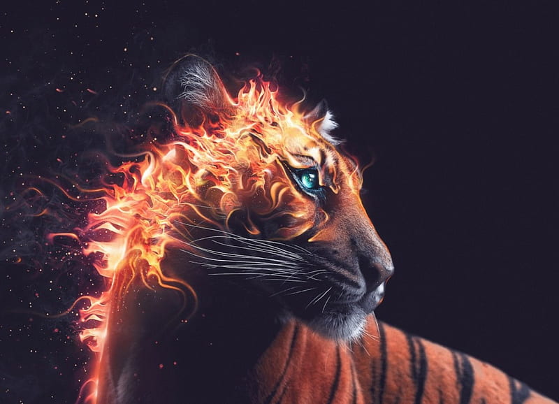 Blue Fire Tiger Wallpapers  Top Free Blue Fire Tiger Backgrounds   WallpaperAccess