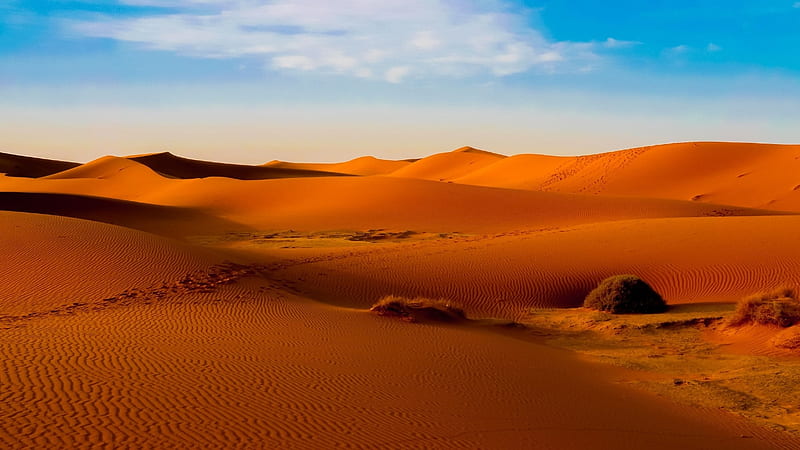 Desert safari Dubai Deals, sand, dune bashing, desert safari, desert safari deals, HD wallpaper