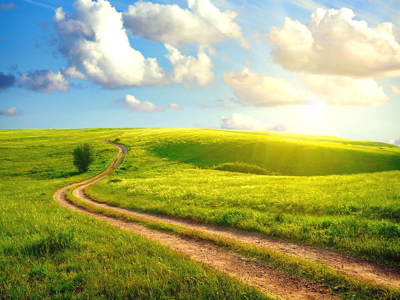 Landscape, path, sky, grass, field, HD wallpaper