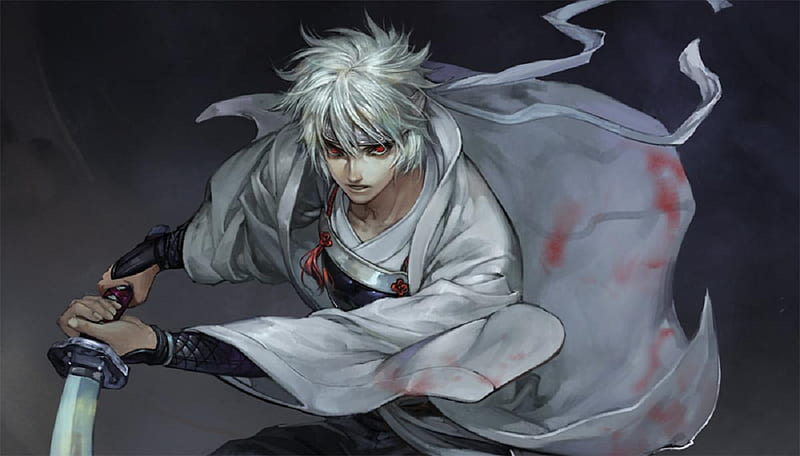 Shiroyasha, male, white hair, sakata gintoki, weapons, warrior, gintoki,  samurai, HD wallpaper | Peakpx
