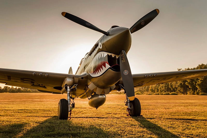 Sharkmouth P-40, Warbirds, P-40, AVG, wwII Fighter, HD wallpaper